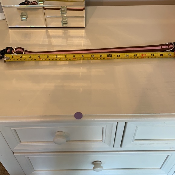 dog collar - Picture 5 of 5